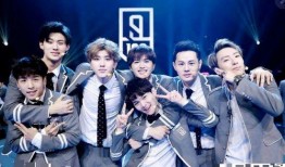 偶像爆料视频大全集免费观看,独家揭秘，免费观看，一网打尽