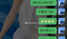二狗爆料视频在线观看免费,揭秘娱乐圈幕后真相